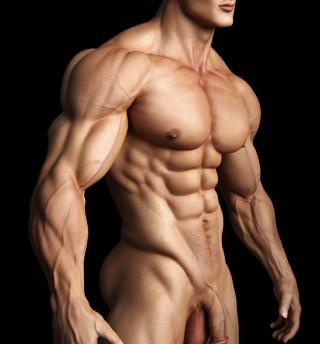 3D Muscle Gay Porn